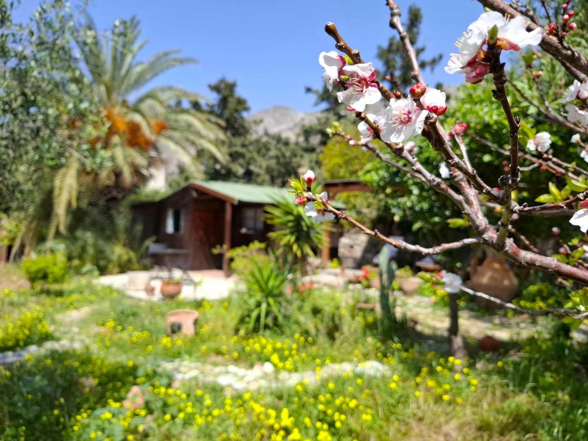 Levantes Garden House - Keratokampos Exterior photo